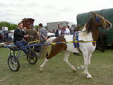 Gypsy Horse Fair at Stow-on-the-Wold
